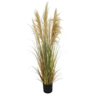 Ambia Home Dekogras, Braun, Metall, Kunststoff, 150 cm, Dekoration, Kunstblumen