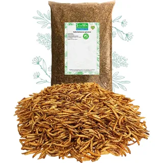 StaWa Mehlwürmer getrocknet – Premium Insekten-Snack für Vögel, Igel, Fische, Schildkröten & Reptilien | 100% Natur, Proteinreich, Schonend getrocknet | Ohne Zusätze, 300 g