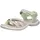 Cashmere/Lime 43