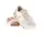 Damen Ivory / Salmon 37