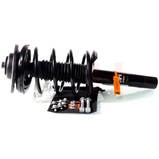 gh Federbein Komplett Federbein