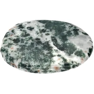 Baumachat Scheibenstein