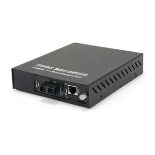 LevelOne FVM-1101 - Medienkonverter - 100Mb LAN