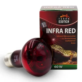 Terra Exotica Infra Red Rotlichtlampe für Reptilien - Infrarot Terrarium Wärmelampe für Eidechsen, Schildkröten, Vogelspinnen, Küken, Kaninchen (60 Watt, 1, stück)