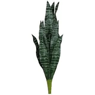 Europalms Bogenhanf (EVA), künstlich, grün, 60cm