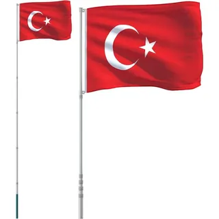 vidaXL Flagge der Türkei mit Mast 5,55 m Aluminium