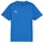 teamGOAL Jersey Jr in Blau electric blue lemonade/puma white/puma team royal 164