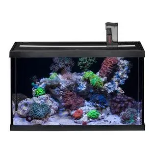 EHEIM Aquarium Aquastar 63 Marine, Schwarz