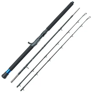 Dieter Eisele Two in One 2,10m 20-30 - 30-40lbs Norwegenrute Bootsrute Reiserute