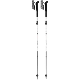 Leki Skytera FX Carbon SL