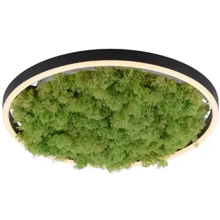 just light. Gerda Ritus 1 dimmbar grün