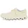 Damen Seedling / Ice 40