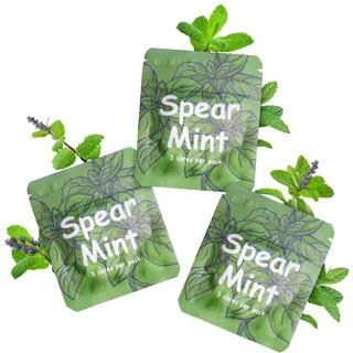 CARITATE Austauschbar Geschmack Filter für Atemkette, Mehrere Geschmack Optionen Aroma Pads, Perfekt für Entspannungsmomente(Grüne Minze)