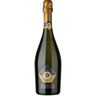 Brioso Prosecco D.O.C. Treviso Spumante – Prosecco extra trocken aus Treviso Italien (1 x 0.75 l)