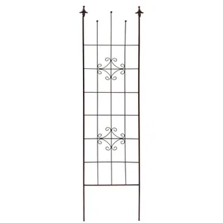 Trendline Rankgitter 41,5 x 180 cm Braun