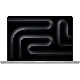 2024 M4 Pro 24 GB RAM 1 TB SSD 16-Core GPU Silber