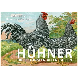 Anaconda Postkarten-Set Hühner