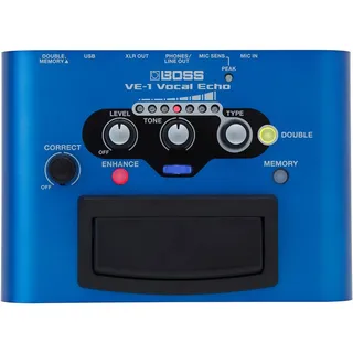 Boss VE-1 Echo