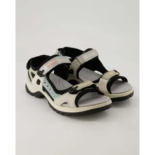 sage nubuck 41