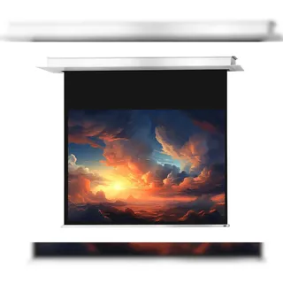 Celexon Deckeneinbauleinwand Motor Professional Plus 300 x 225 cm