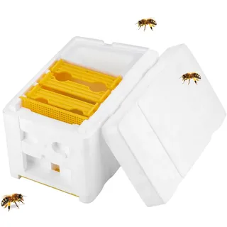 Cocoarm Königin Bee Paarung Box Schaum Königin Bee Zucht Box Bee Apidea Paarung Bienenstock Bienenzucht Imker Liefert für Garten Bestäubung