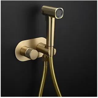 SWHC Bidet Handbrause, Messing Bidet Brause 2 Funktionen Jet Spray Toilet Unterputz Bidet Toilettensprüher Hochdruck Bidet Dusche WC Warm und Kalt Einstellbar Duschkopf mit Schlauch