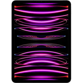 256 GB Wi-Fi + Cellular space grau