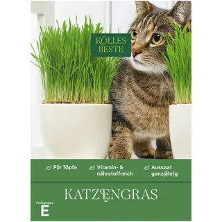 Kölles Beste Saatgut, Katzengras