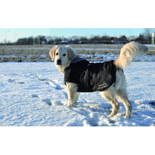 Rehab Softshell Hundedecke 1 Stück 42 cm