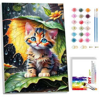 luckyarina Katzen Malen Nach Zahlen Kinder Mit Rahmen-Katze Malen Nach Zahlen Kinder ab 5 6 7 8 9 Jahre Mädchen,Tiere Paint by Numbers Mit Geschenkbox DIY Bastelset Geschenk 20x30cm
