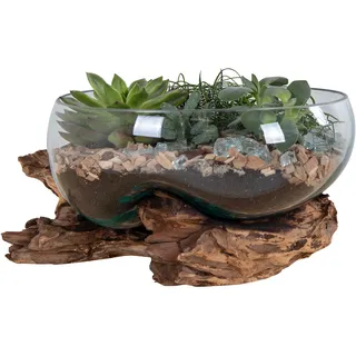 House Nordic Waterdrop – Teakholz Glas, Naturfarbener Look, Handgefertigtes Design – San Marino | House Nordic