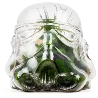 Terrario in vetro Con Casco Stormtrooper Originale e serbatoio per Biscotti Con coperchio, contenitore per la cucina e organizzazione - ThumbsUp!