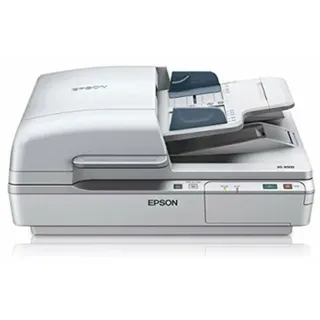 Epson WorkForce DS-6500, 215,9 x 1016 mm, 1200 x 1200 DPI, 48 Bit, 24 Bit, Flachbett- & ADF-Scanner, Weiß