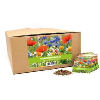 FLORTUS Wildblumenwiese für Gastgeschenke (500 Stück) | Wildblumensamen für Bienen & Insekten als Dankeschön Geschenke & Werbegeschenke