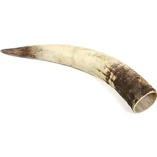 NaDeco Rinderhorn natur 50-59cm Kuhhorn Stierhorn Watussi Horn Rinder Horn Tierhorn