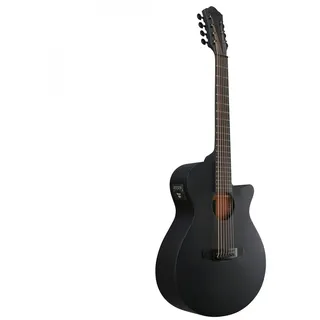 IBANEZ AEG721-BOT B Black Out