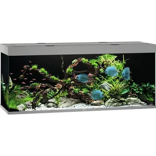 juwel® aquarium JUWEL® Rio 450 LED, grau