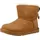 chestnut 31