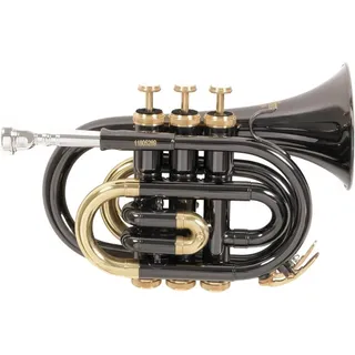 Roy Benson PT101K Taschentrompete schwarz und Gold