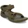 olive 43