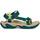 blue coral 37