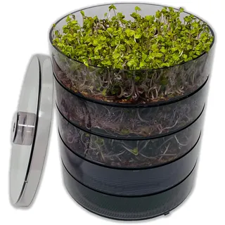 SaatPur® Keimsprossenbox Set 4 mit Vier Etagen als Sprossen Keimgerät: Sprossen Anzucht sowie Microgreens Anzuchtschalen. Keimbox, Keimschale, Keimschachtel, Sprossenbox, Sprossenhaus, Keimgerät