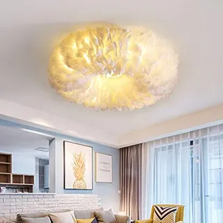 Moderne Deckenlampe Kreative Persönlichkeit Feder Deckenleuchte E27 Glühbirne Pendellampe Für Schlafzimmer Esszimmer Deckenbeleuchtung Wohnzimmer Büro Studie Küche Deckenlicht Mit Scheinwerfer,50cm ...