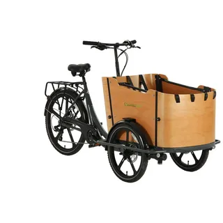 Sachsenrad T2 Neo Vintage 2023 20 Zoll RH 50,8 cm Unisex schwarz