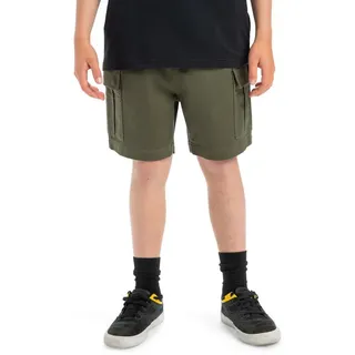 QUIKSILVER Bermudas "Taxer", Herren, Gr. 14, braun, Obermaterial: 59% Microfaser, 40% Walkfrottier, 1% Elasthan;, Hosen Bermudas