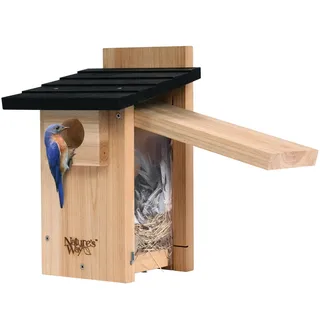 Natures Way Bird Products CWH4 Cedar Bluebird Viewing House