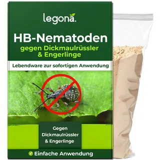 HB-Nematoden gegen Dickmaulrüssler und Engerlinge