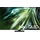 GQ65QN90D 65" Neo QLED 4K Smart TV QN90D