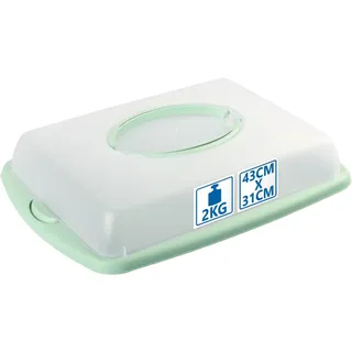 Stimo Kuchen Transportbox mit Tragegriff Deckel Kuchenbehälter Blechkuchen Container mit Klickverschluss (Mintgrün)