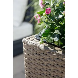 HC Garten & Freizeit Blumentopf Rattan Optik mit Plastiktöpfen eckig